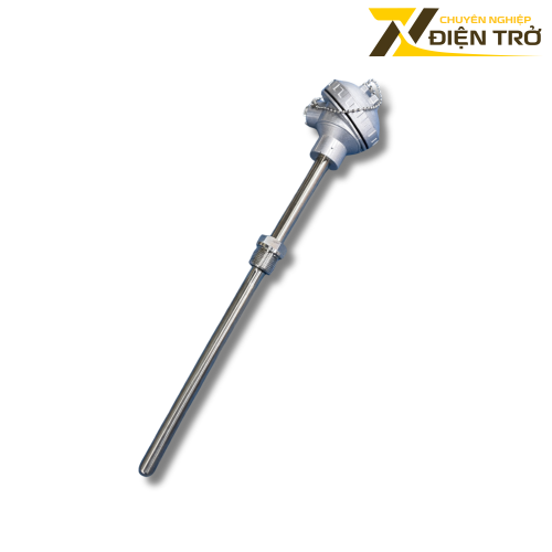 Đầu dò PT100 củ hành